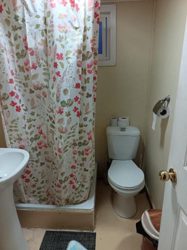 a bathroom with a toilet and a shower curtain at Cabañas Manolo in Osorno