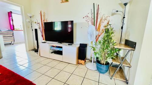 a living room with a flat screen tv and plants at Maison Montalegre Lamentin in Lamentin