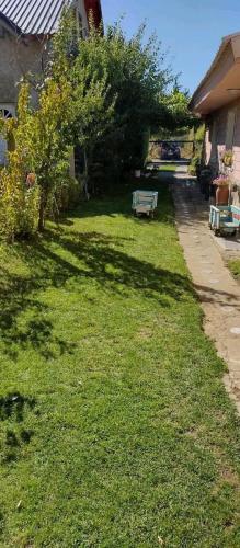 Κήπος έξω από το Departamento monoambiente