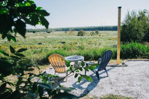 Zahrada ubytování Field of Dreams Tiny Home