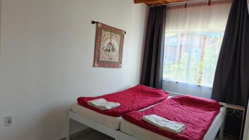 a room with a bed with red sheets and a window at Casa Shalom 2 Room App! Internet! Parking! Sauna! Quiet! Central! Esperanza village! in Hohenau