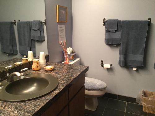 uma casa de banho com lavatório, WC e toalhas em A Cascade View Bed And Breakfast em Bellevue