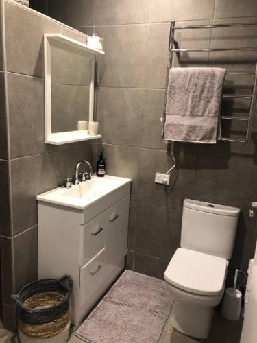 a bathroom with a toilet and a sink and a mirror at Alpina Apartment 1 in Falls Creek