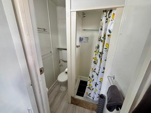 a bathroom with a toilet and a shower curtain at Westshore Holiday Park in Napier