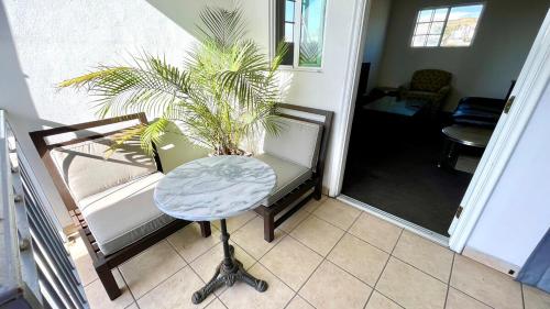 a living room with a chair and a table with a plant at Complete cozy apartment in Playas in Tijuana