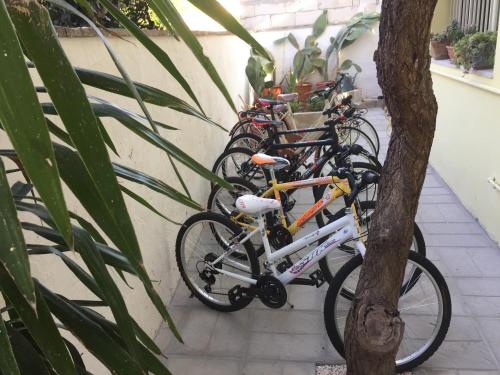 una fila di biciclette parcheggiate accanto a un albero di Casa Noemi b&b a Uggiano la Chiesa