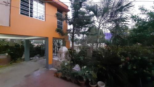 KharagpurにあるBnB in Hijli society near IIT gate Prembazar Kharagpurのたくさんの植物と消火栓のある家