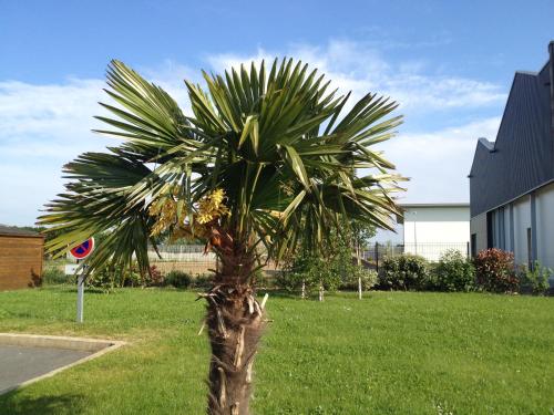 En have udenfor Kyriad Dol-de-Bretagne