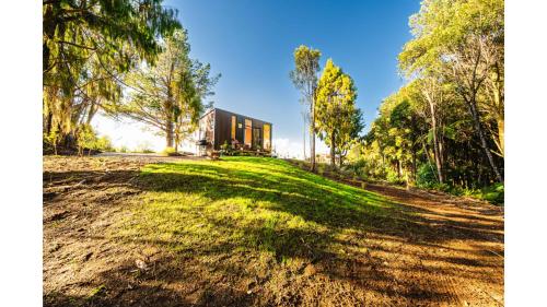 a house in the middle of a grassy field at The Mini Mountain Hut 2 by Tiny Away in Egmont Village