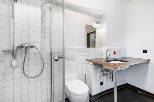 a bathroom with a shower and a toilet and a sink at Fewo Boho in der Altstadt in Pirna