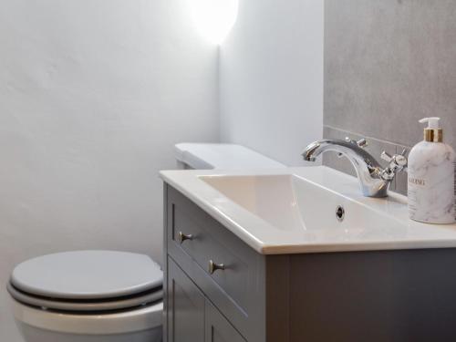 a bathroom with a toilet and a sink at Troedyrhiw Isaf in Tregaron
