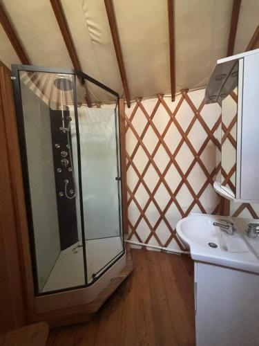 La petite salle de bains est pourvue d'une douche et d'un lavabo. dans l'établissement Camping Le Pre Saint-Andre, à Souvignargues