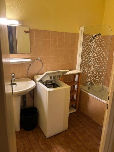 une petite salle de bain avec un lavabo et une douche dans l'établissement bungalows les thuyas, à Eugénie-les-Bains