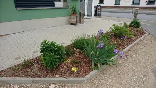 a flower bed in front of a building with flowers at Heidebistro in Commerau