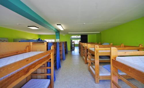オーストダインケルケにあるEastfieldの緑の壁と木製の二段ベッドが備わる客室です。