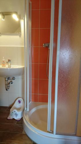 a bathroom with a shower and a sink at Heidebistro in Commerau