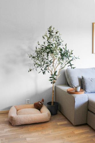 a dog bed in a living room with a plant at NEW Scenic Family Stay in Tegefjäll Hike & Relax in Åre