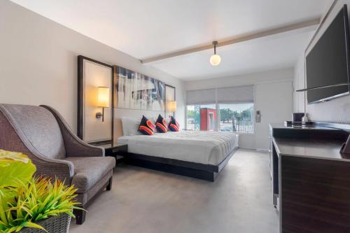 a bedroom with a bed and a tv and a couch at Heights House Hotel - Houston Heights Downtown, an Ascend Collection Hotel in Houston