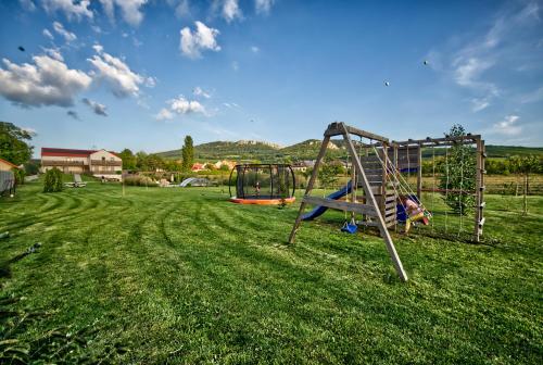 einen Park mit einer Schaukel im Gras in der Unterkunft U Jeřába - komplex C in Horní Věstonice