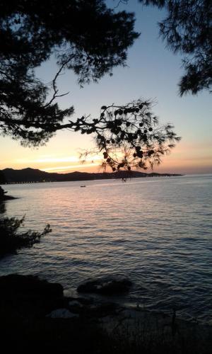 Φωτογραφία από το άλμπουμ του Ana & Marko-Island Ošljak σε Island Osljak