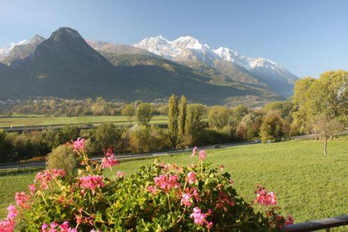 a field with pink flowers and mountains in the background at Affittacamere Les Noyers in Verrayes