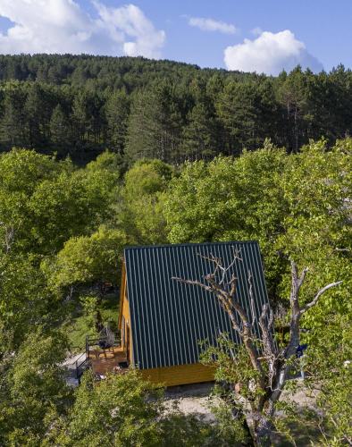 a small wooden cabin in the middle of a forest at Pinehouse Urtkhva in Surami 
