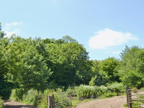 a garden with a fence and trees in the background at The Granary in Tiverton
