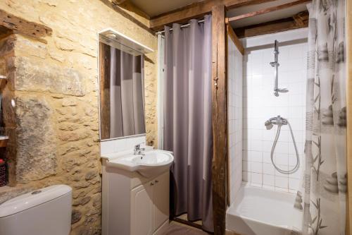 a bathroom with a sink and a shower and a toilet at Moulin de la Grenaderie in Sergeac