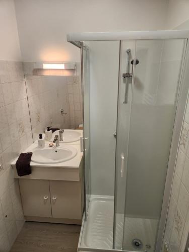a bathroom with a sink and a shower at Bienvenue chez nous ! in Combrand