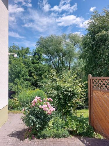 a bush with pink flowers next to a wooden fence at Apartment Nähe Limburg Diez in Heistenbach