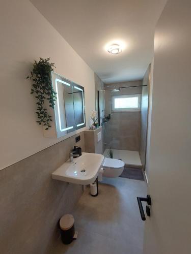 a bathroom with a sink and a toilet and a mirror at Apartment Nähe Limburg Diez in Heistenbach
