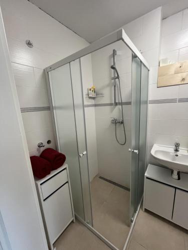 Koupelna v ubytování Apartman Collie