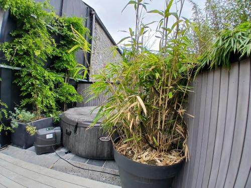 Ein Garten an der Unterkunft Gîtesdesignemoi entre Design et émotion - la perle