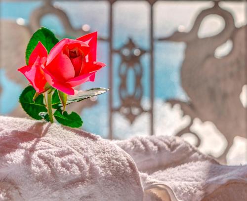 a red rose in a vase sitting on a couch at Veranda Syros House in Ermoupoli