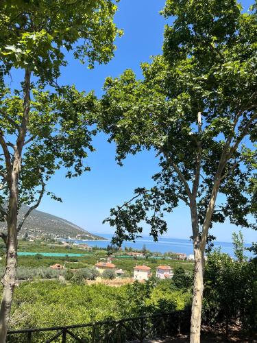 a view of the ocean from between two trees at Dafni Stone House In Epidavros in Néa Epídhavros