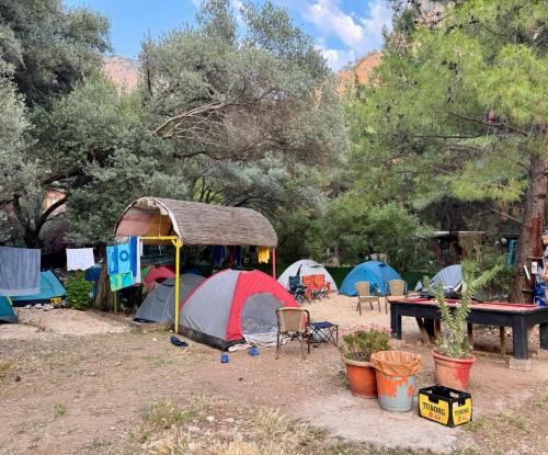 Lilith Pan Camping