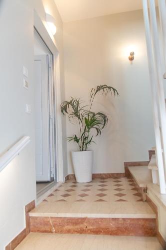 a plant in a white pot sitting on the stairs at eleni luxury apartment in Tinos Town