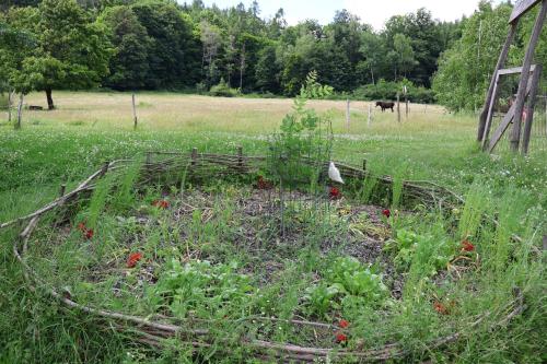 a bird standing in a garden in a field at Penzion Jizera Malá Skála in Malá Skála