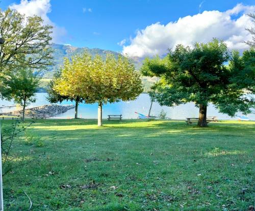 a park with two trees and a bench near the water at Villa unique, 50 mètres du jardin au lac in Savines