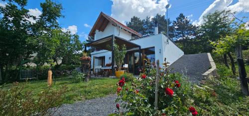 Szilva és Dió Présház