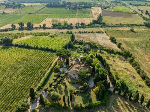トッリータ・ディ・シエーナにあるVILLA LA MONARCA 16, Emma Villasの木々と家屋の空中風景
