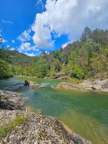 a river with rocks and trees in the background at Cal Moline 2 Estel in Aviá