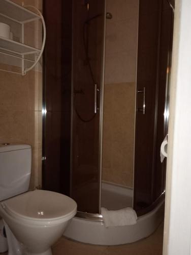 a bathroom with a toilet and a glass shower at Zajazd Turystyczny Stara Gawęda in Czechówka