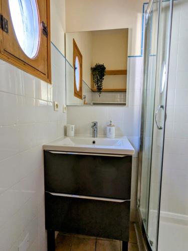 une salle de bain avec un lavabo et une douche dans l'établissement Studio cosy et spacieux, à Carcassonne