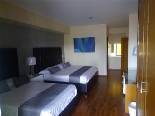 Säng eller sängar i ett rum på Hotel Tierra Roja