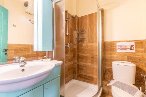 a bathroom with a shower and a sink and a toilet at Villa Faye in Gaios