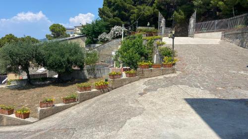 Zahrada ubytování Massimo Beachfront Apartment