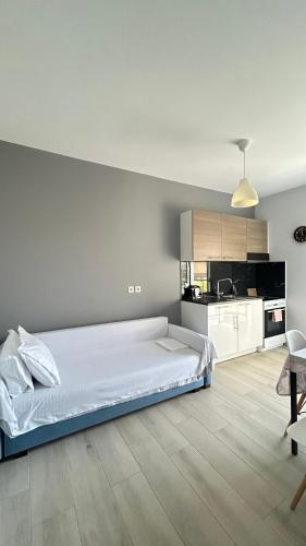 Elsa home