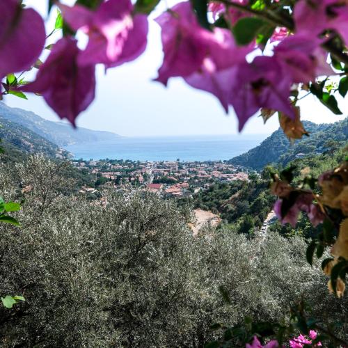 a view of a city from behind some flowers at Villa Symbola in Oludeniz