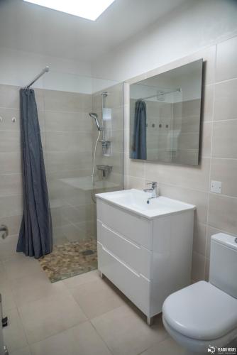 une salle de bain avec un lavabo, des toilettes et un miroir dans l'établissement Les Iris, à Lédenon